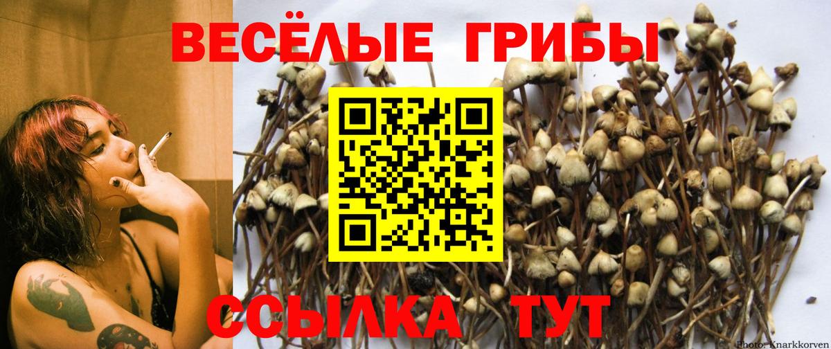 Галлюциногенные грибы мицелий  Вход с VPN  Гурьевск 